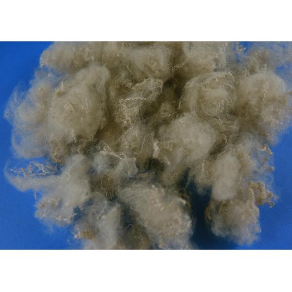 3D*51MM Hollow Conjugated Siliconized Polyester Fiber For Filling Jacket