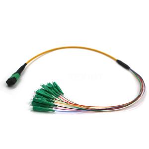 FTTH Trunk LSZH G657A Fiber Optical Patch Cord OM3 OM4 MPO MTP To LC