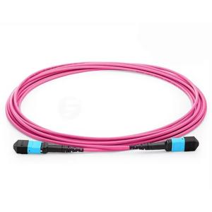 Multimode MM MPO MTP Trunk Cable OM1 OM2 OM4