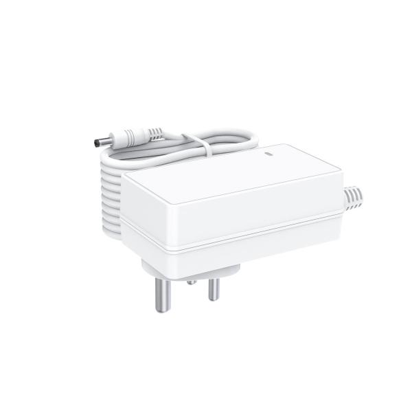 Quality 48W Max India Plug 12V 4A Switching Power Supply 24V 2A Wall Mount AC DC Adapter with BIS Certified wholesale