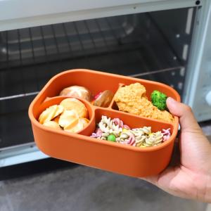 Silicone Lunch Box Microwave Freezer And Dishwasher Safe Food Container With