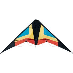 Cheap Special Pattern Polyester Kite , Easy Assembled Delta Wing Kite 120*60CM for sale