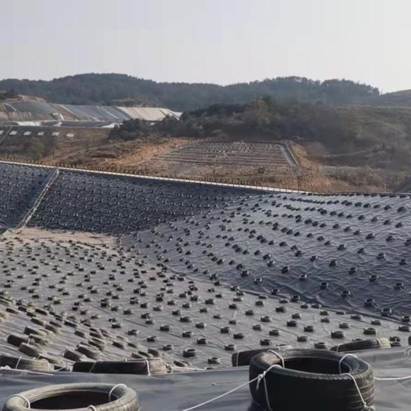 Highly Effective HDPE Geomembrane for Landfill and Sewage Treatment GB/ASTM GRI