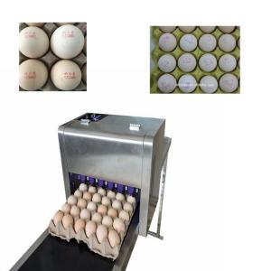Poultry Industry Eggs Food Inkjet Printer With U Disk Loading Easy To Edit