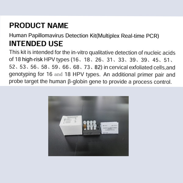 Quality Human Papillomavirus Detection Kit Multiplex Real Time PCR wholesale