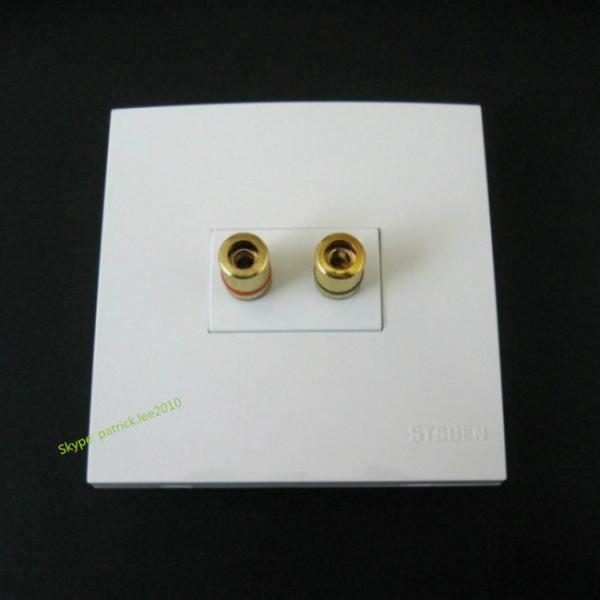 Smart Home Application Wall Socket With Audio Speaker Banana Connector 86x86mm