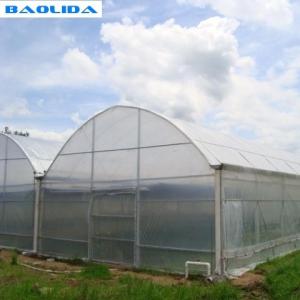 China Grape Multi Span Greenhouse With Grape Trellising System To Malaysia on sale