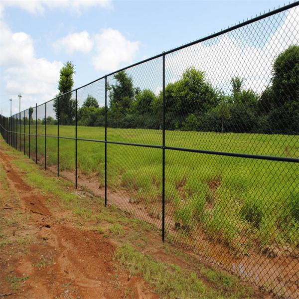 Fencing 50m 100 Color Feet High Six Ne Cyclone 10 Swg 50mm Pvc Coated Galvanized