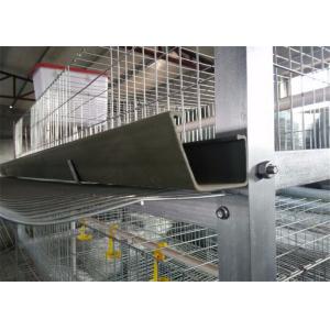 20 Years Lifespan Galvanized 4 Doors Easy Installed H Type Broiler Chicken Cages