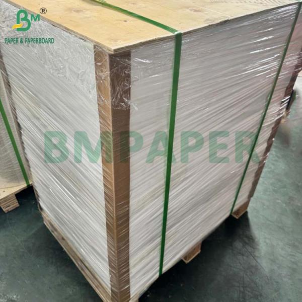 24gsm Food Grade Bleached Color Glassine Paper For Baking Cups 750 x 1000mm