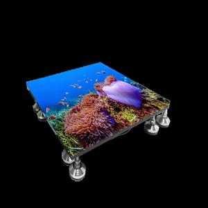 Clevertouch Floor LED Display Screen Interactive Walking Billboards P3.91