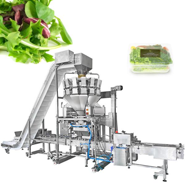 Quality 14 Buckets Fruit And Vegetable Packaging Machine With Multihead Weigher wholesale