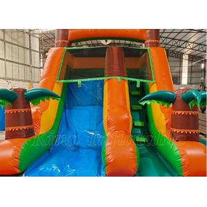 Kids Outdoor Yard Water Slides Tropical Jungles Inflatable Water Slide With Pool