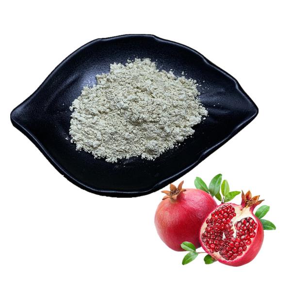 Quality Safe 40% Pomegranate Extract Ellagic Acid Pomegranate Peel Extract Anti Oxidation wholesale