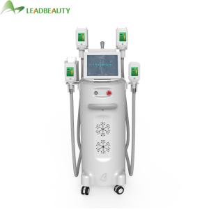 Cryolipolysis Cryotherapy Slimming Machine Price Fat Freezing Machine CE loss