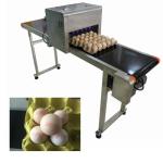 High Speed Egg Date Code Printing Machines With Continuous Spray Printing
