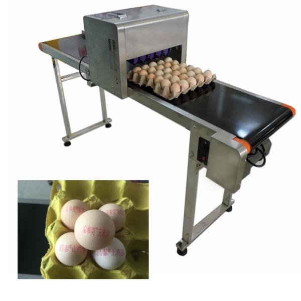 High Speed Egg Date Code Printing Machines With Continuous Spray Printing
