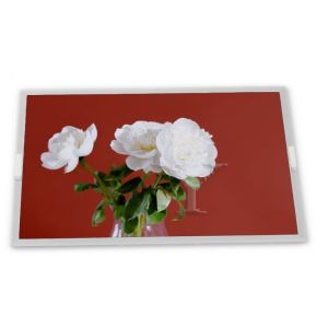 M238DAN01.8 Lcd Display Panel 23.8 Inch 2560*1440 A-Si TFT-LCD New and Original