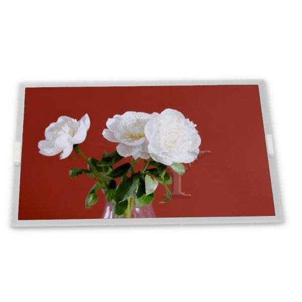 Quality M238DAN01.8 Lcd Display Panel 23.8 Inch 2560*1440 A-Si TFT-LCD New and Original wholesale