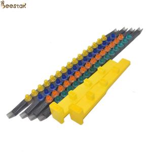 Plastic Queen Rearing Frame Kit with Cell Bar Cups Cell Cells Holder