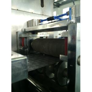 High Output Stainless Steel Automatic Blister Packing Machine with Shaking