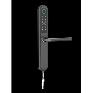 Finished Painted Rfid Door Lock Commercial Bluetooth WiFi Special Card / Code /