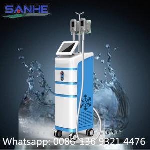 Cheap 2 handles Cryolipolysis Weight Loss Machine for sale