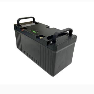 2560WH Lithium Marine Lifepo4 Batteries Lightweight Multiscene