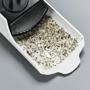 Cheap Effective Pest Control Moths Mosquito Lamp with Glue Pad and Electrical Power Source Combo for sale