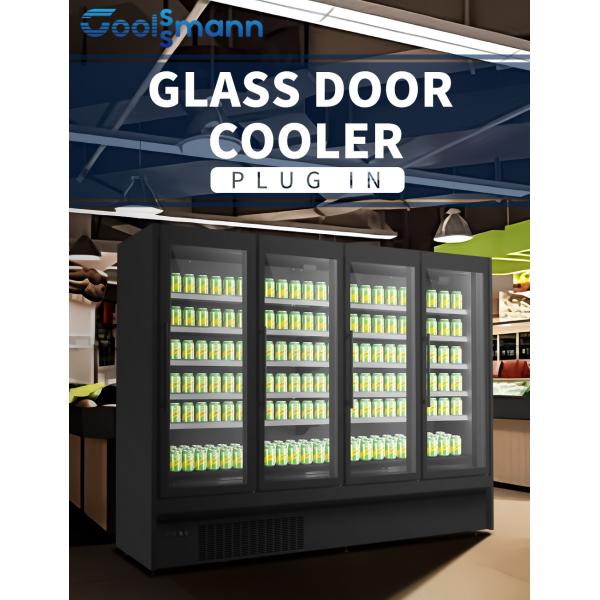 Glass Door Beverage Display Fridge Plug In Automatic Defrosting Glass Door Cooler For Beverage