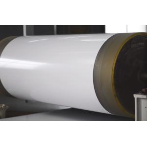 5000 Series Customizable Prepainted Aluminium Coil for Unique Design Possibiliti