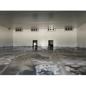 100 Tons Cold Storage Room for Farm Vegetables Fruits Nature Distribution
