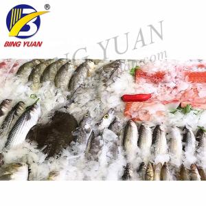 High Quality Flake Ice Maker, Flake Ice Machine,0.5T Daily Capacity Automatic