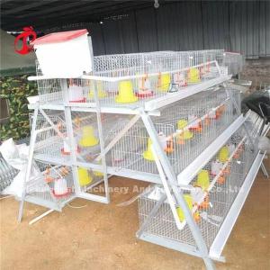 Hightop Chick Brooder Chicken Cage Of Poultry Chicks Ada