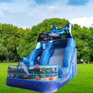 Private Label PVC Inflatable Water Slide and Bounce House for Outdoor Entertainm