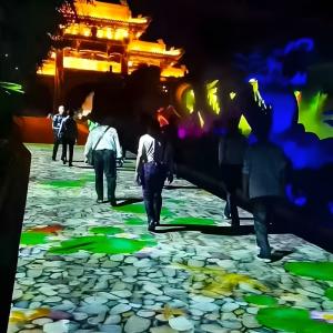 Waterproof Multiple Themes Interactive Ground Projection Game System