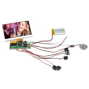 MPG Image Format LED LCD Video Module for Backlight Type LED