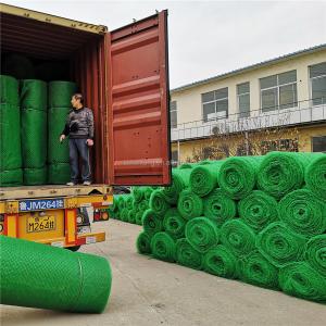 Contemporary Design Green Geomat for Erosion Control in Construction and