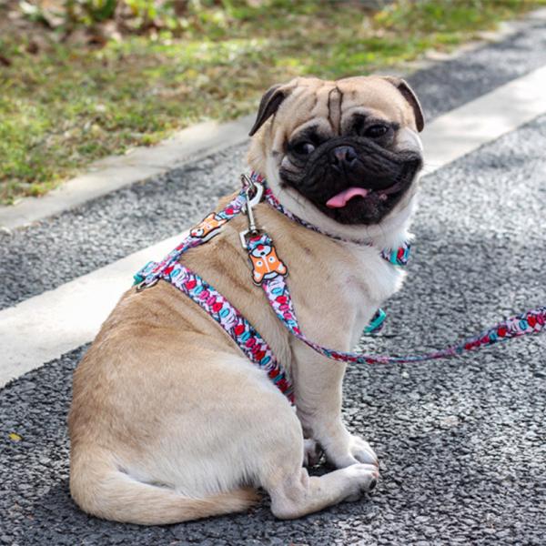 Small And Medium Sized 1kg Dog Traction Rope / Pet Chest Strap