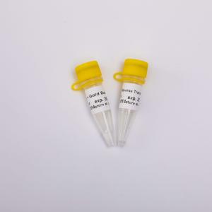 10000U Gold Reverse Transcriptase PCR R3002 Colourless Appearance