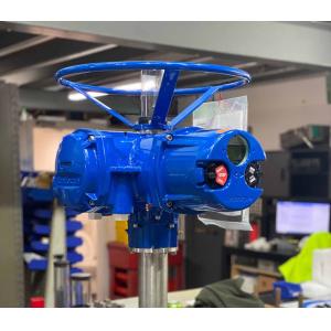 China Pressure Valve Skid Customized ELectric Valve Actuator Limitorque MX QX