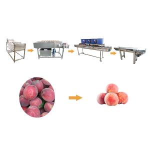 Hot selling Multi-function Vegetable Washer Manual Loading by Huafood