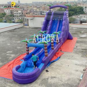 Purple Inflatable Playground Slide For Schools And Day Cares