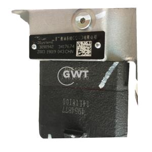 Qsm11 Ism11 M11 Cummins Diesel Injection Pumps 3090942 3417674 4954876 4954877