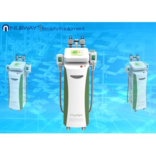 Quality Hot sale!!! High-quality Multifunction cryotherapy cryolipolysis machine wholesale