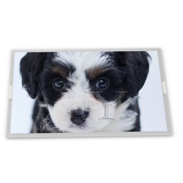 AMS549EH04-0 TFT 5.5 industrial lcd panels Complete range of industrial screens