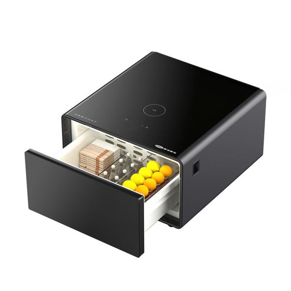 65L Capacity Smart Coffee Table Refrigerator with Wireless Charging and Concise