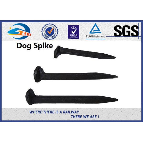 Quality High Tensile Dog Spike Railway Track Spike GOST DIN AREMA Standard 16x16x165mm wholesale