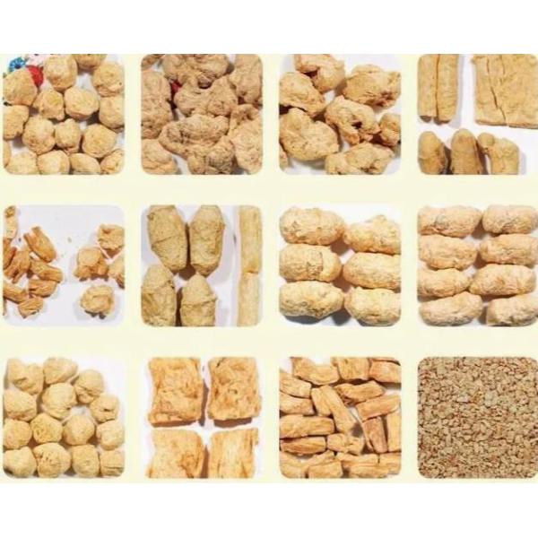 Stainless Steel Soya Extruder Machine