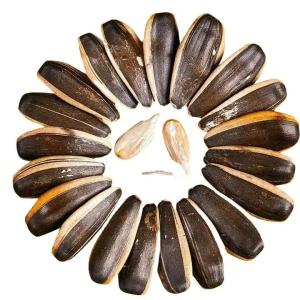 Inner Mongolia Seeds Sunflower Seeds In Bulk and export to all over the world